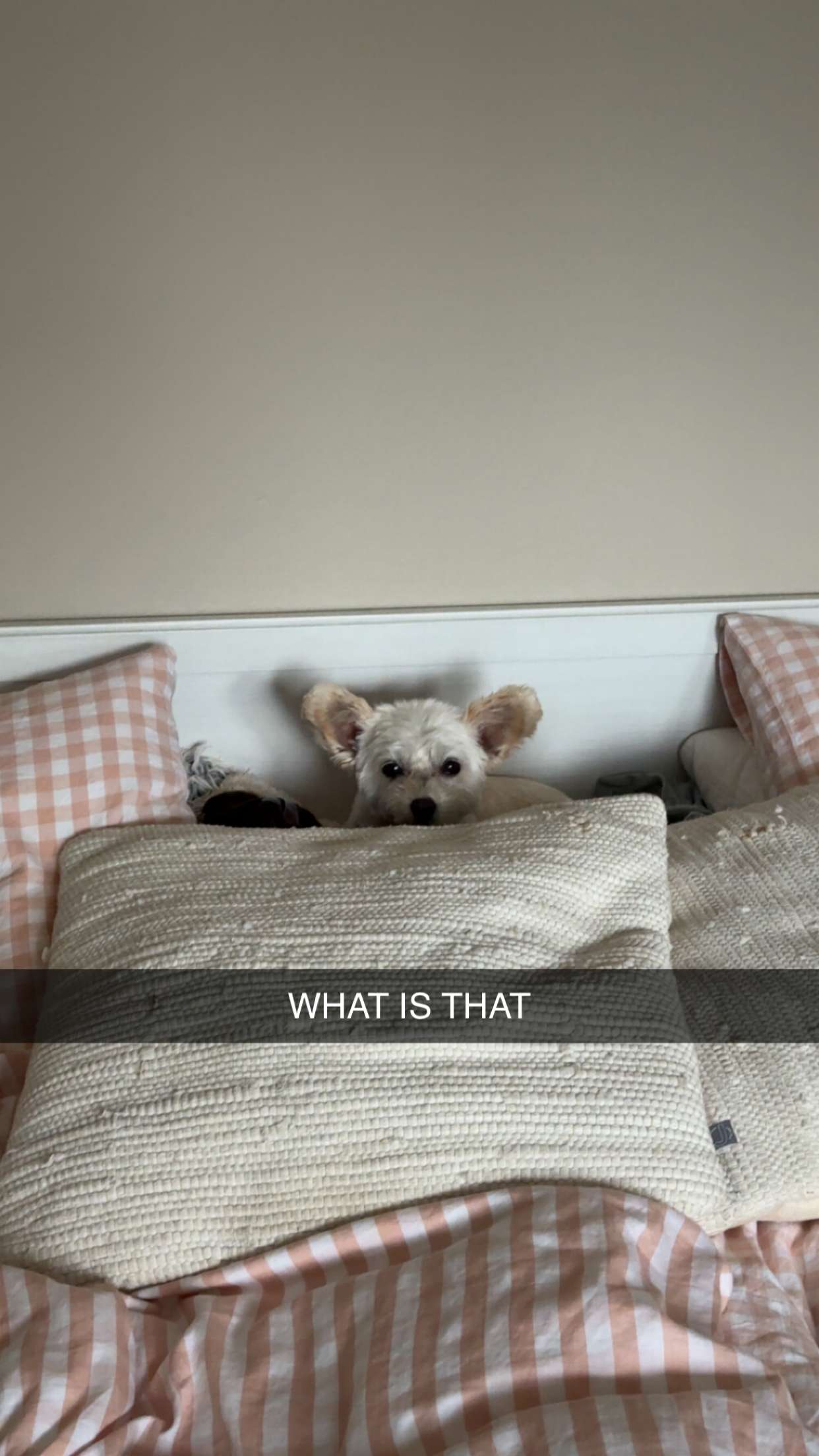 mathilda_bergs snapchat image archive image