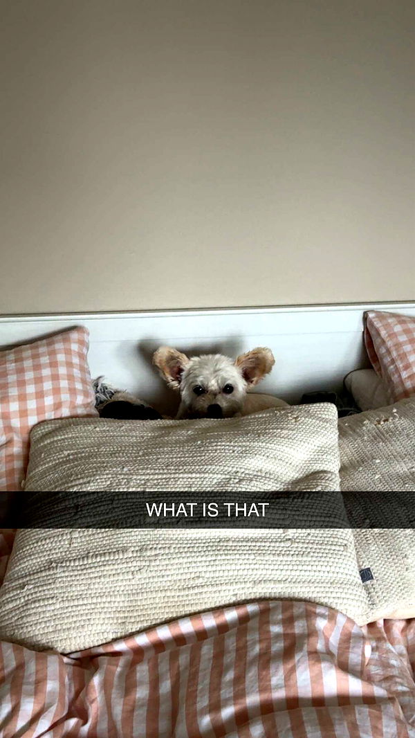 mathilda_bergs image ~ Altpins