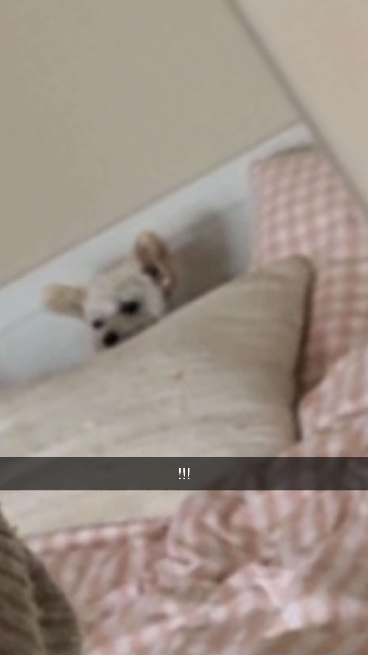 mathilda_bergs snapchat image archive image