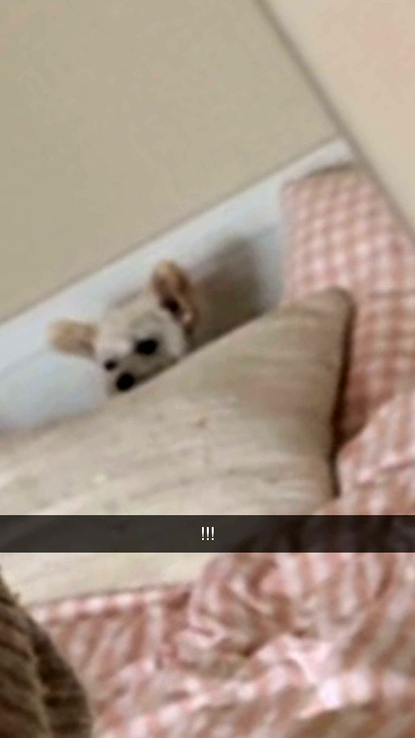 mathilda_bergs image ~ Altpins