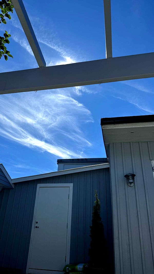 mathilda_bergs image ~ Altpins