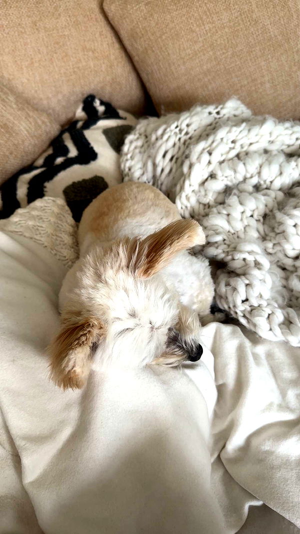 mathilda_bergs image ~ Altpins