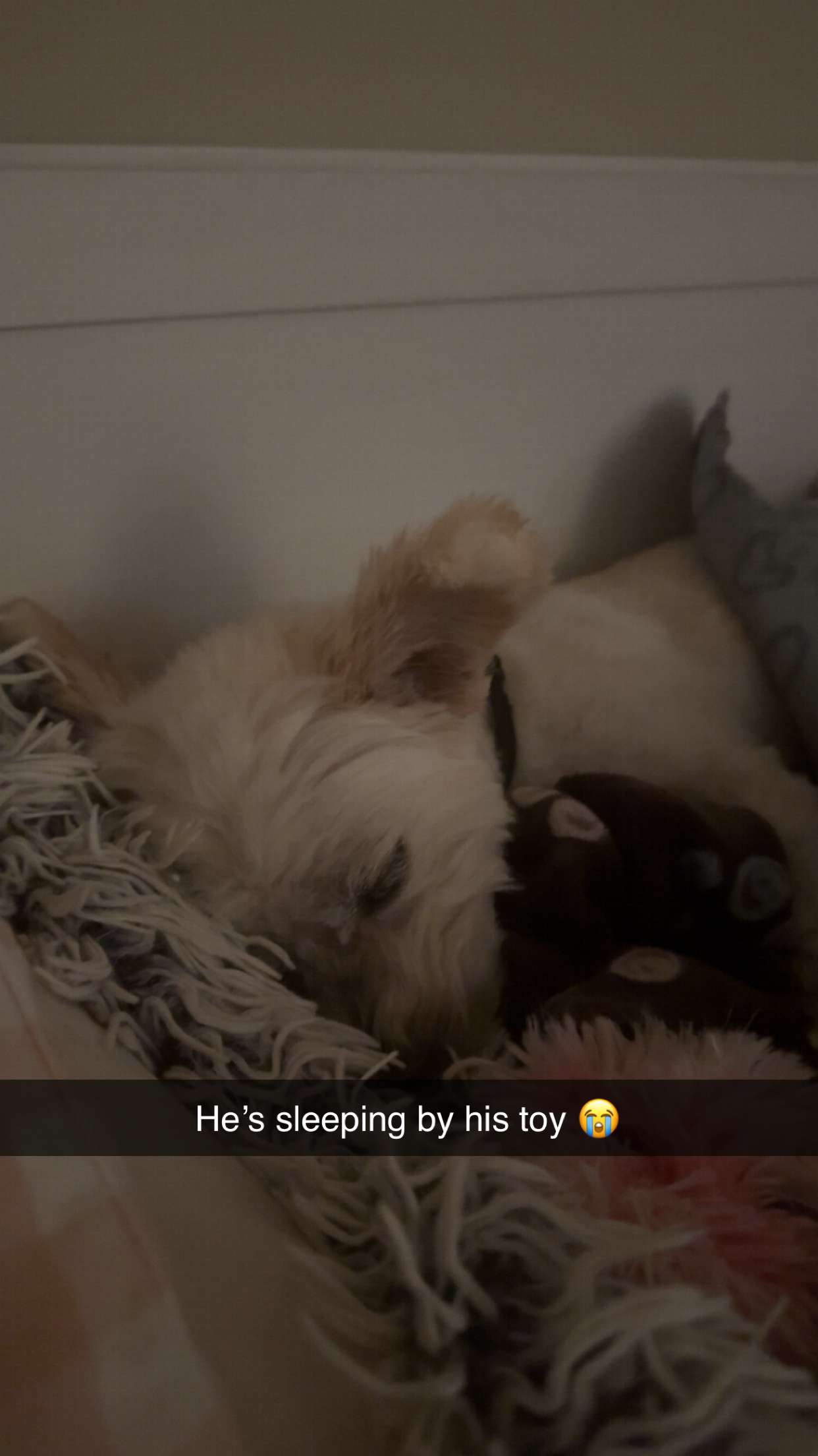 mathilda_bergs snapchat image archive image