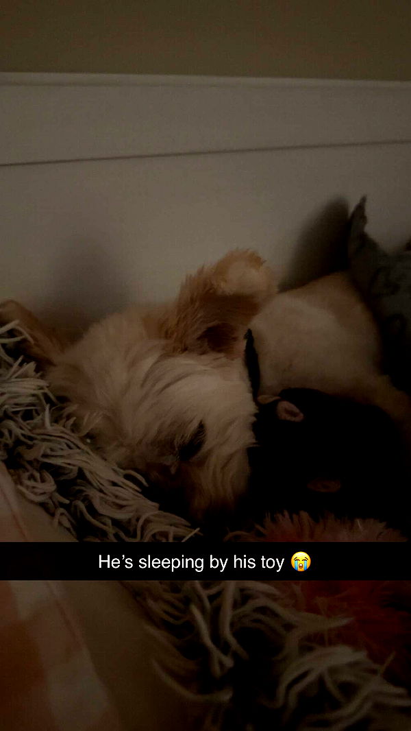 mathilda_bergs image ~ Altpins