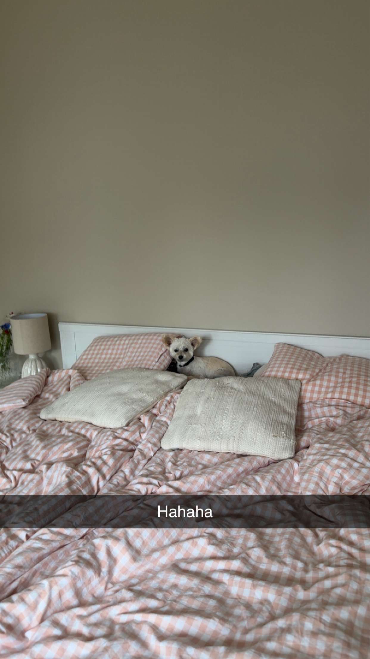 mathilda_bergs snapchat image archive image