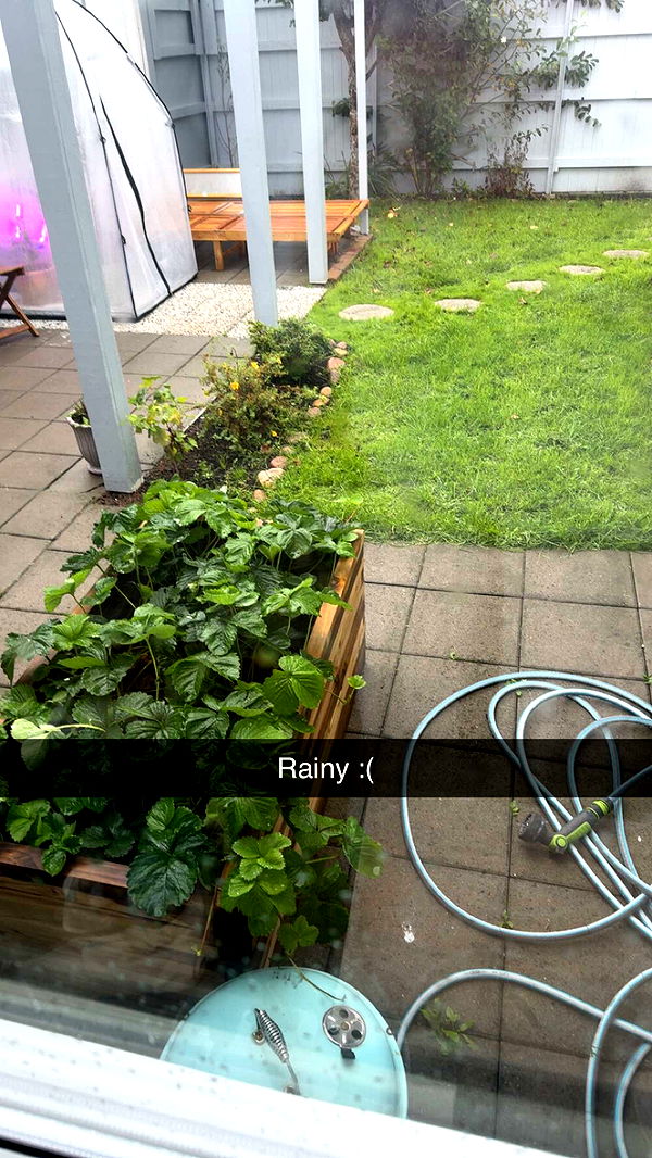 mathilda_bergs image ~ Altpins