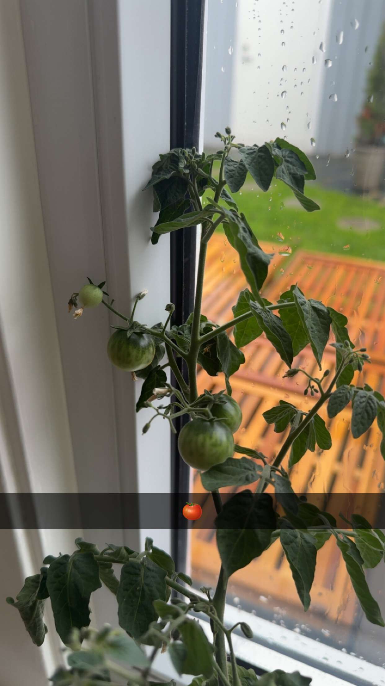 mathilda_bergs snapchat image archive image