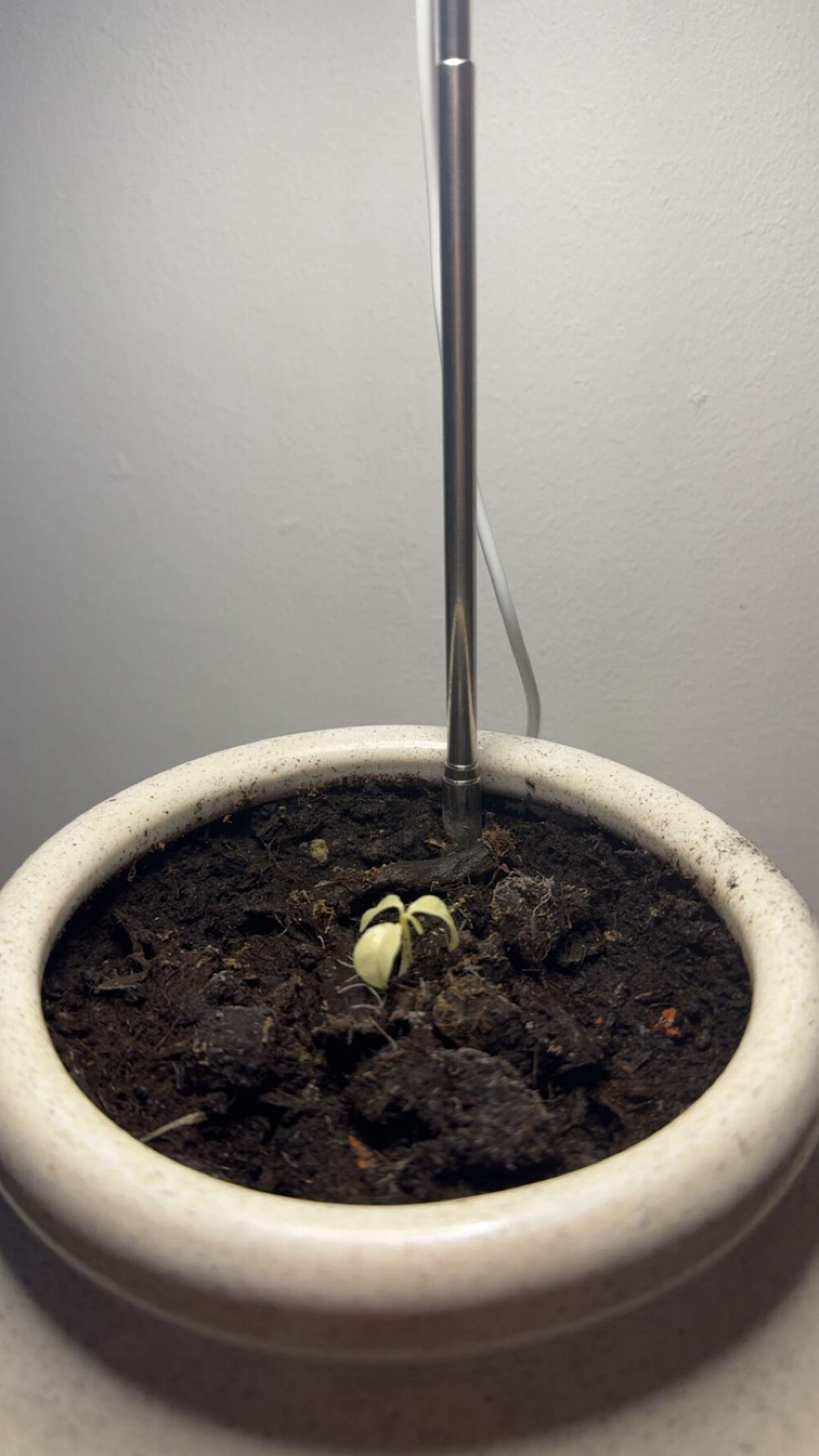 mathilda_bergs snapchat image archive image