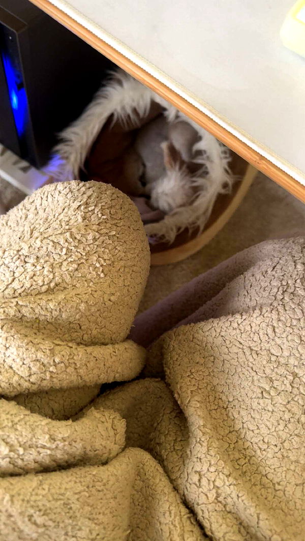 mathilda_bergs image ~ Altpins