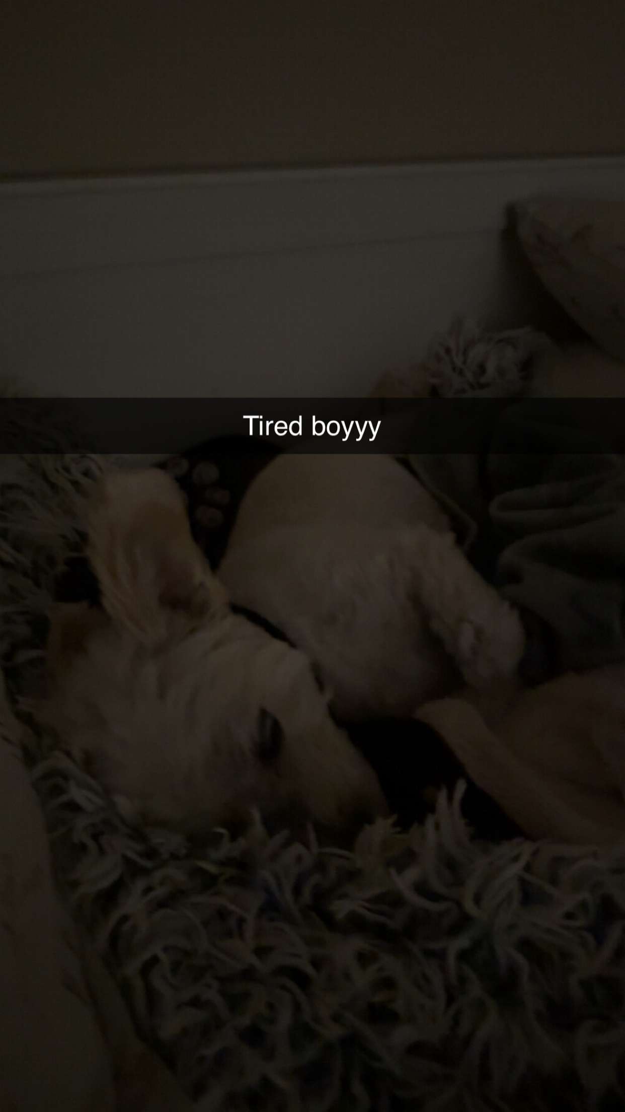 mathilda_bergs snapchat image archive image