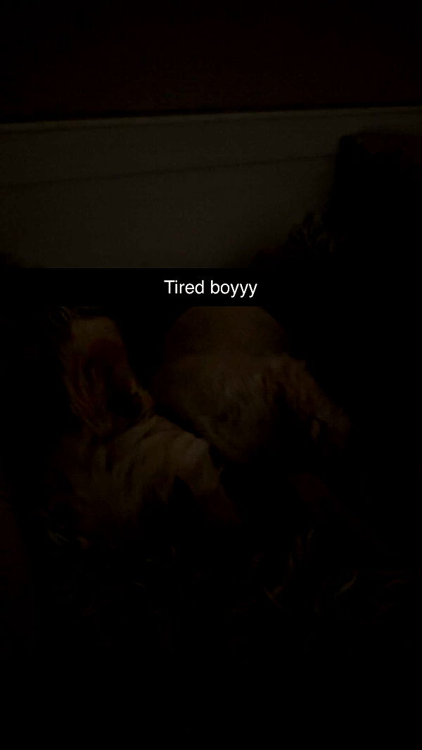 mathilda_bergs image ~ Altpins