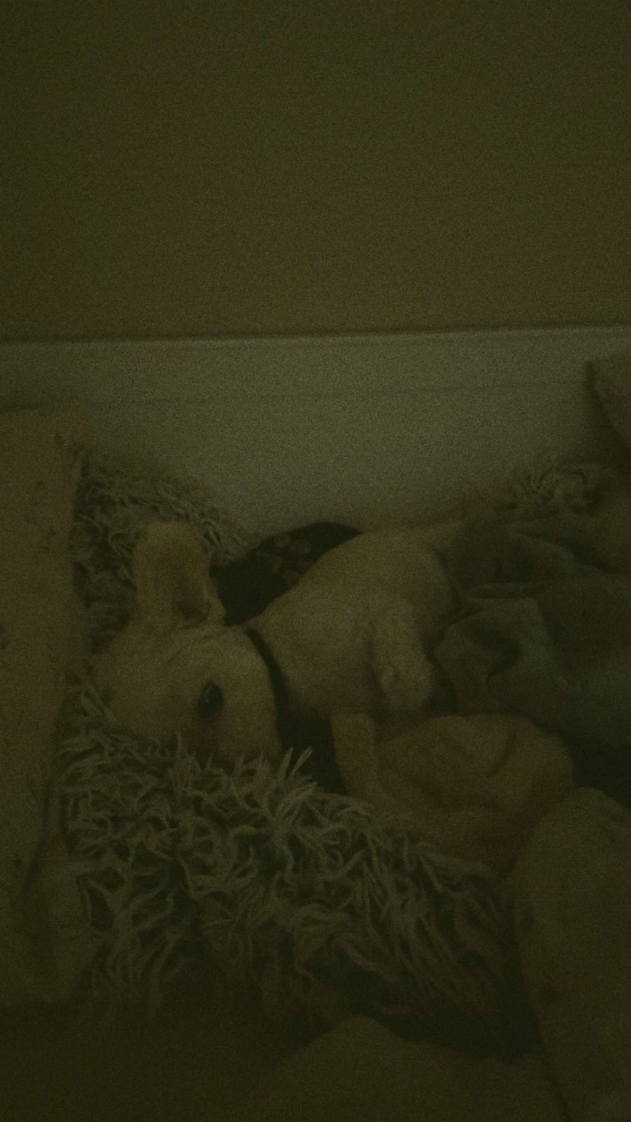 mathilda_bergs snapchat image archive image