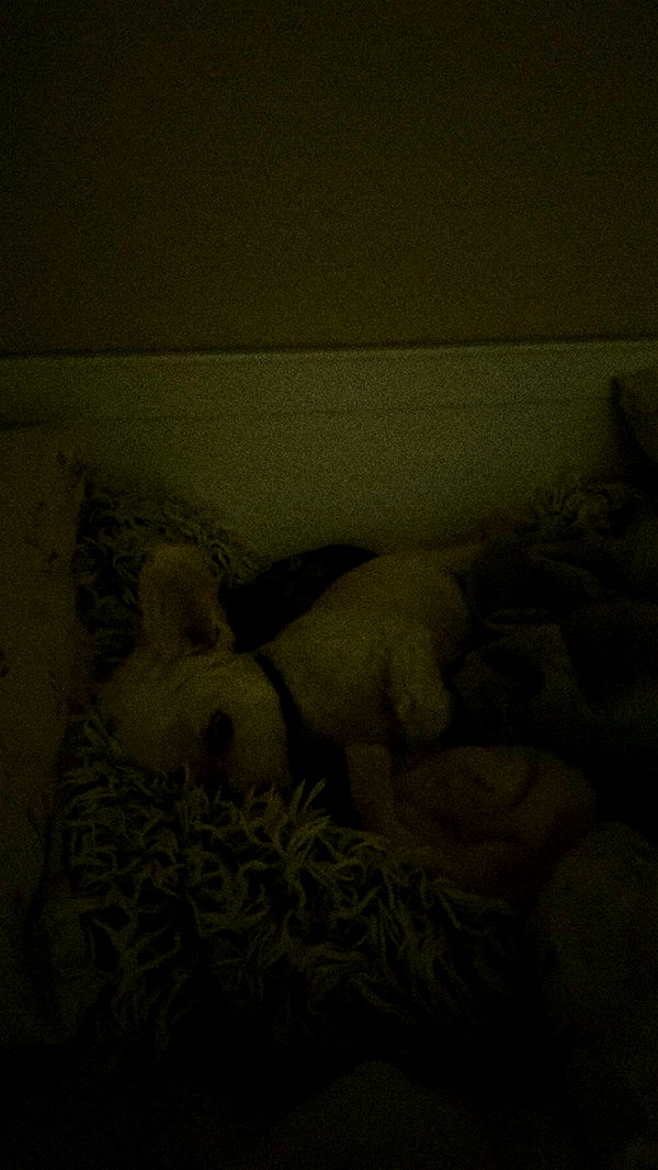 mathilda_bergs image ~ Altpins