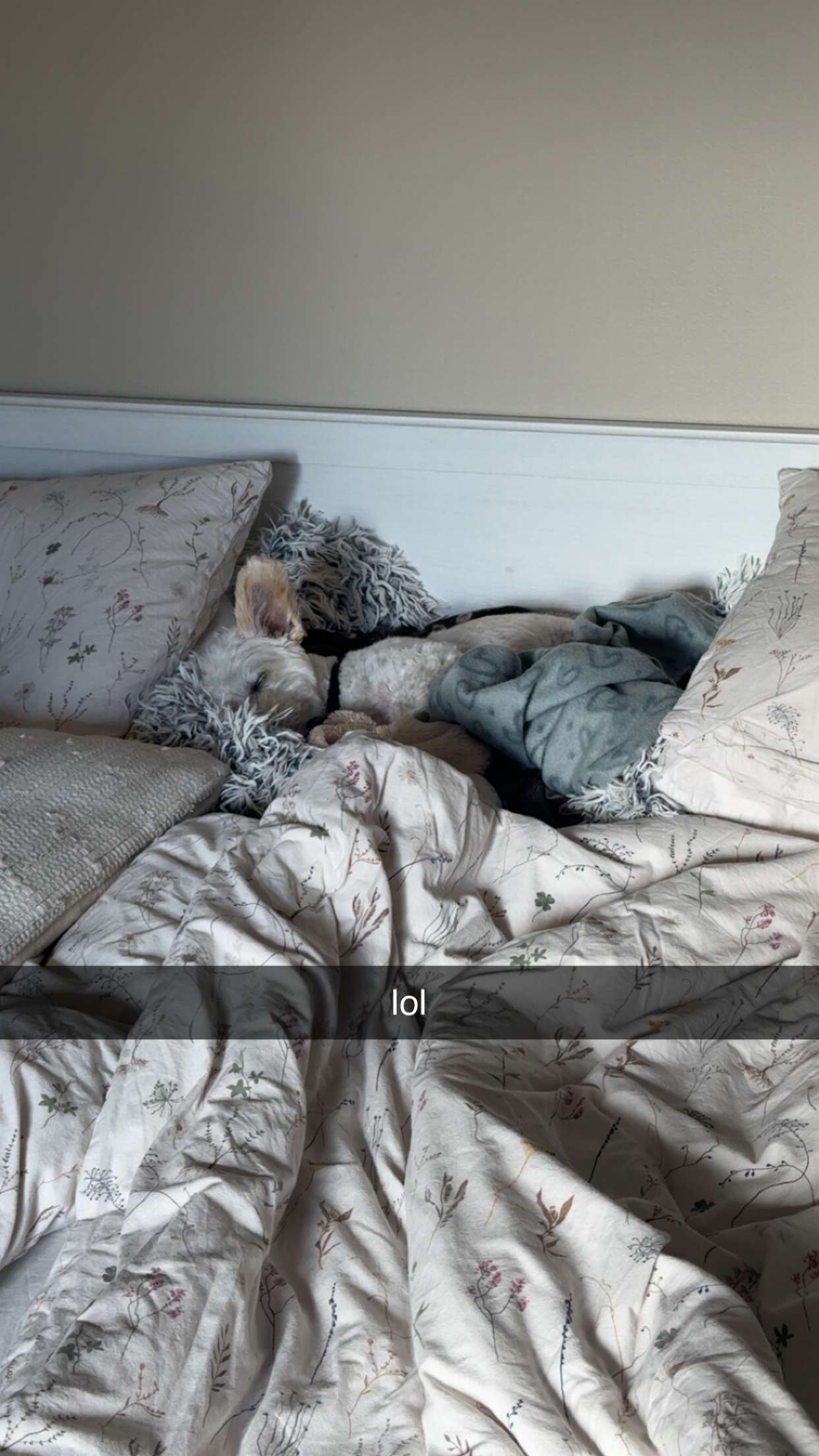 mathilda_bergs snapchat image archive image