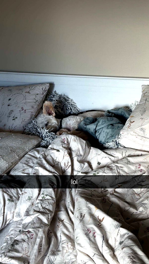 mathilda_bergs image ~ Altpins