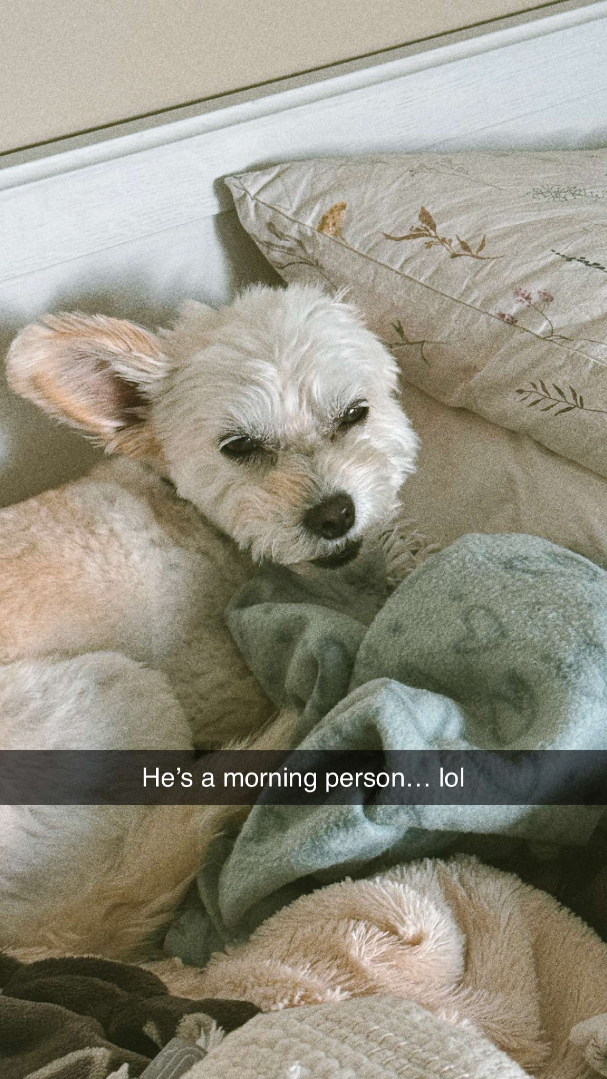 mathilda_bergs snapchat image archive image