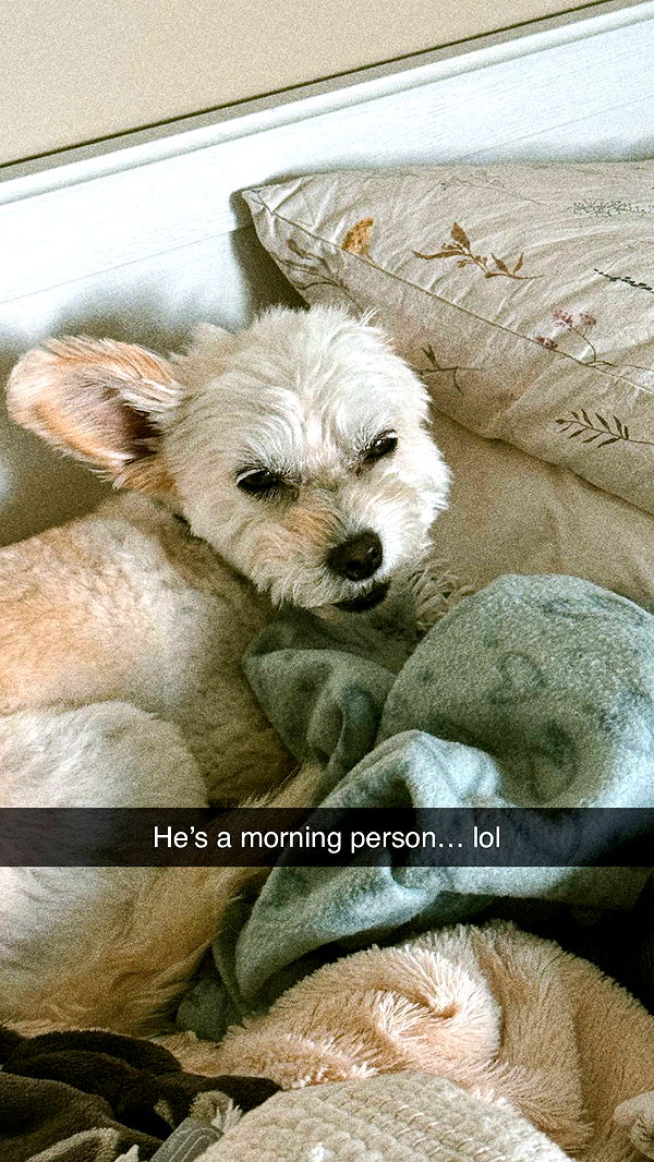 mathilda_bergs image ~ Altpins