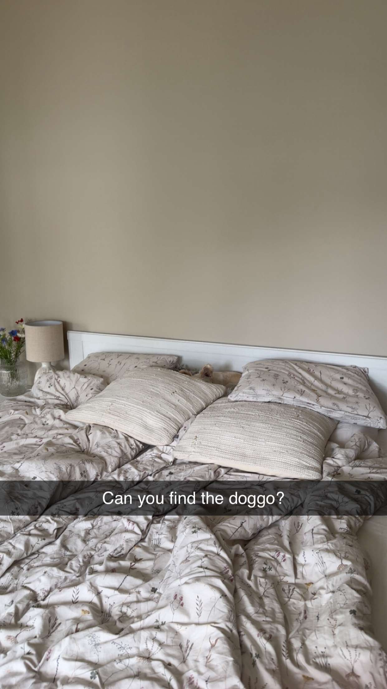 mathilda_bergs snapchat image archive image