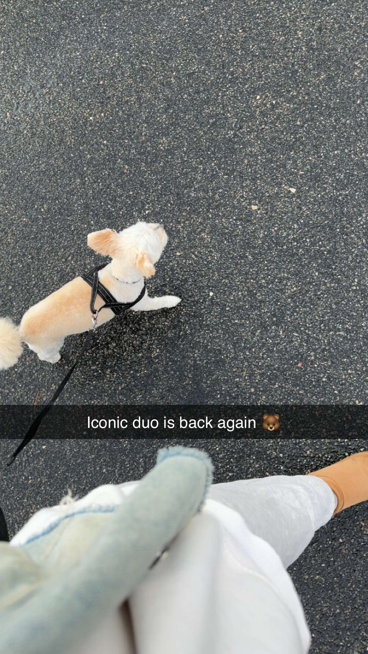 mathilda_bergs snapchat image archive image