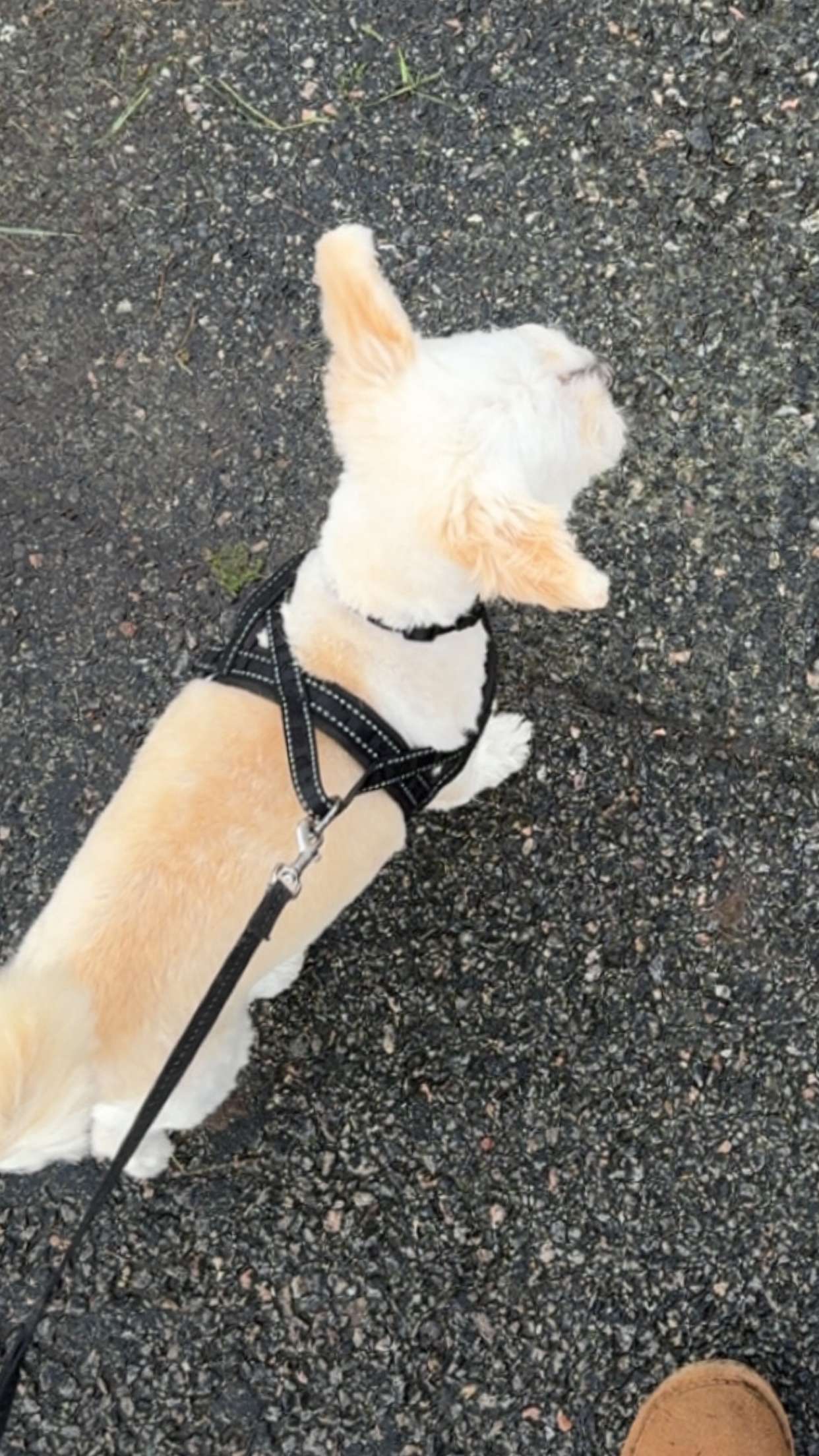 mathilda_bergs snapchat image archive image