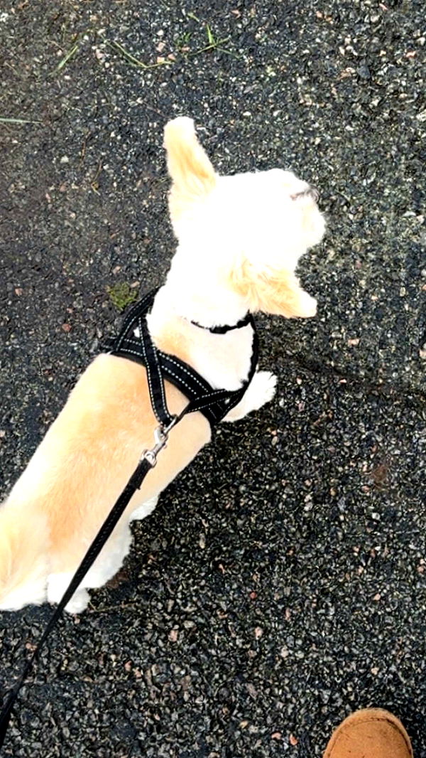 mathilda_bergs image ~ Altpins