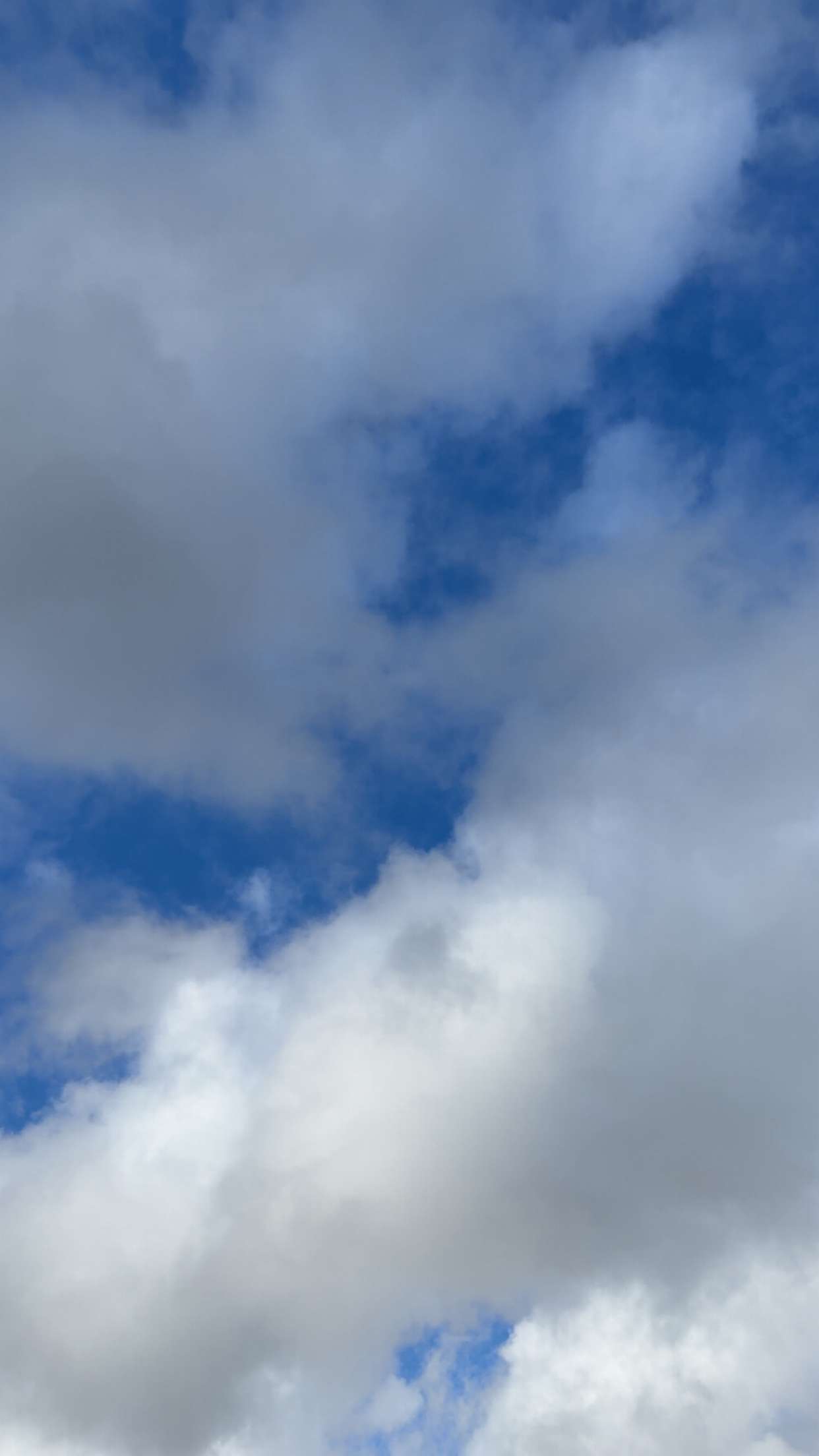 mathilda_bergs snapchat image archive image