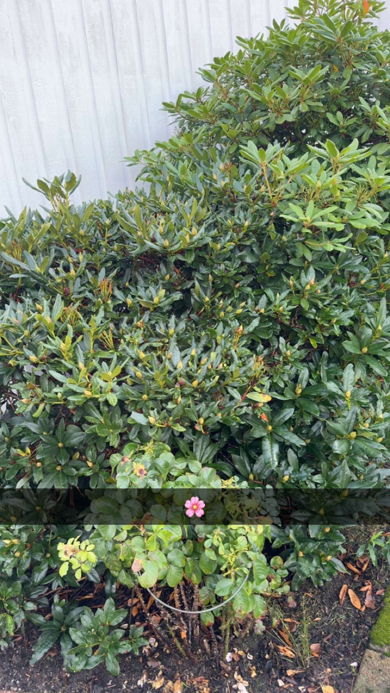 mathilda_bergs snapchat image archive image