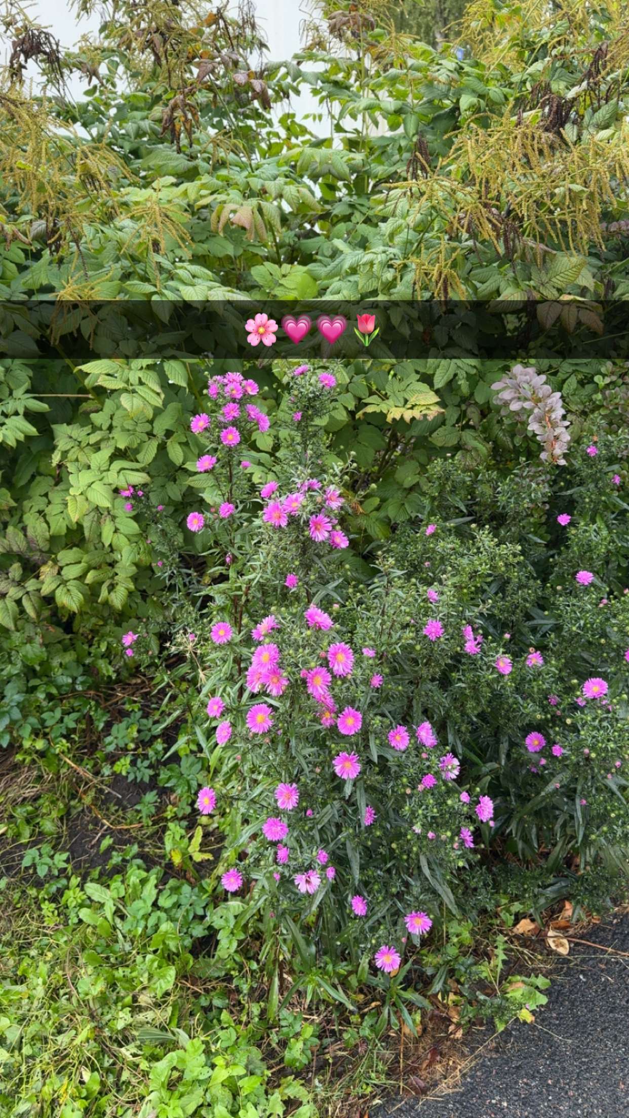 mathilda_bergs snapchat image archive image