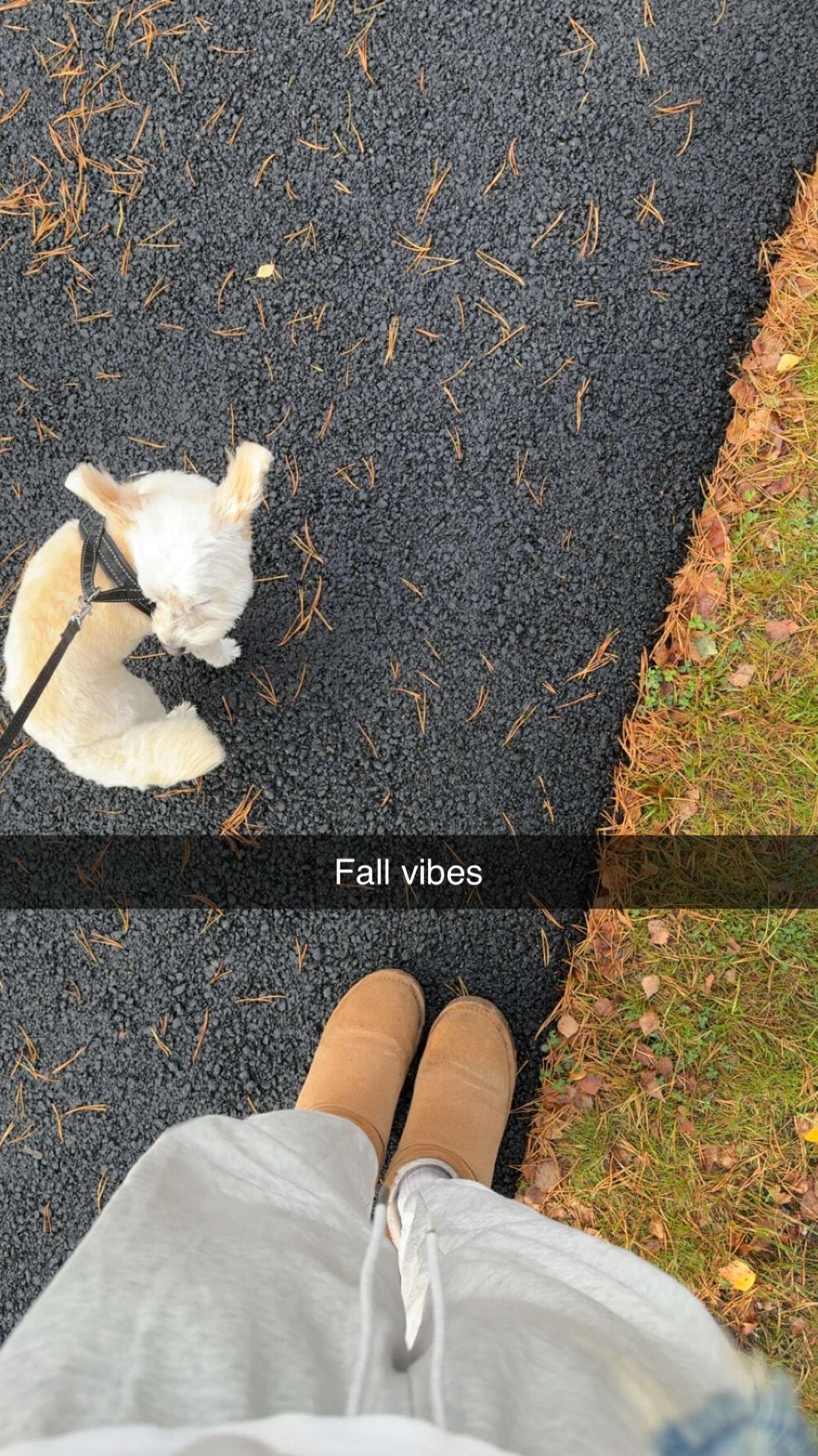 mathilda_bergs snapchat image archive image