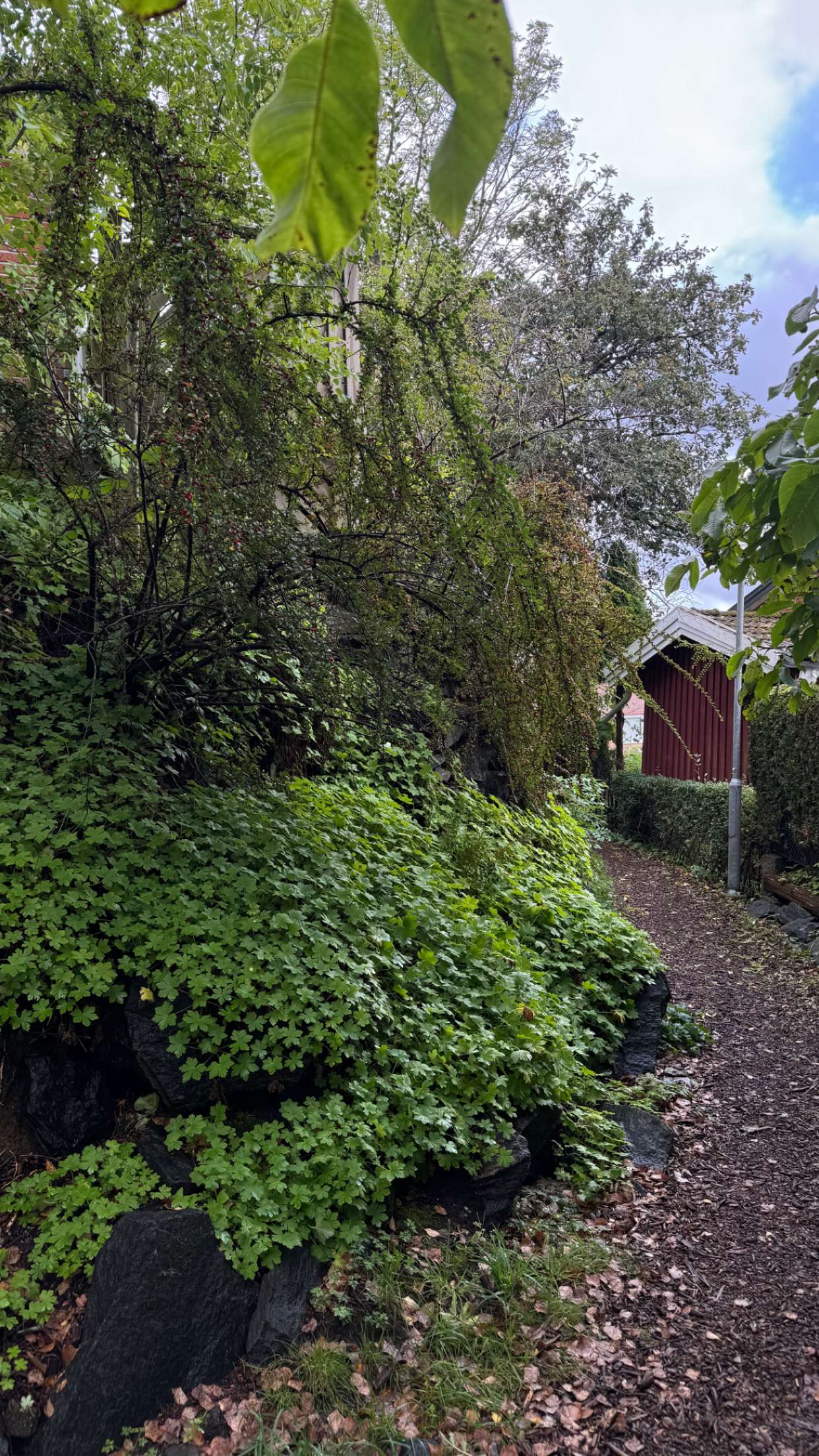 mathilda_bergs snapchat image archive image