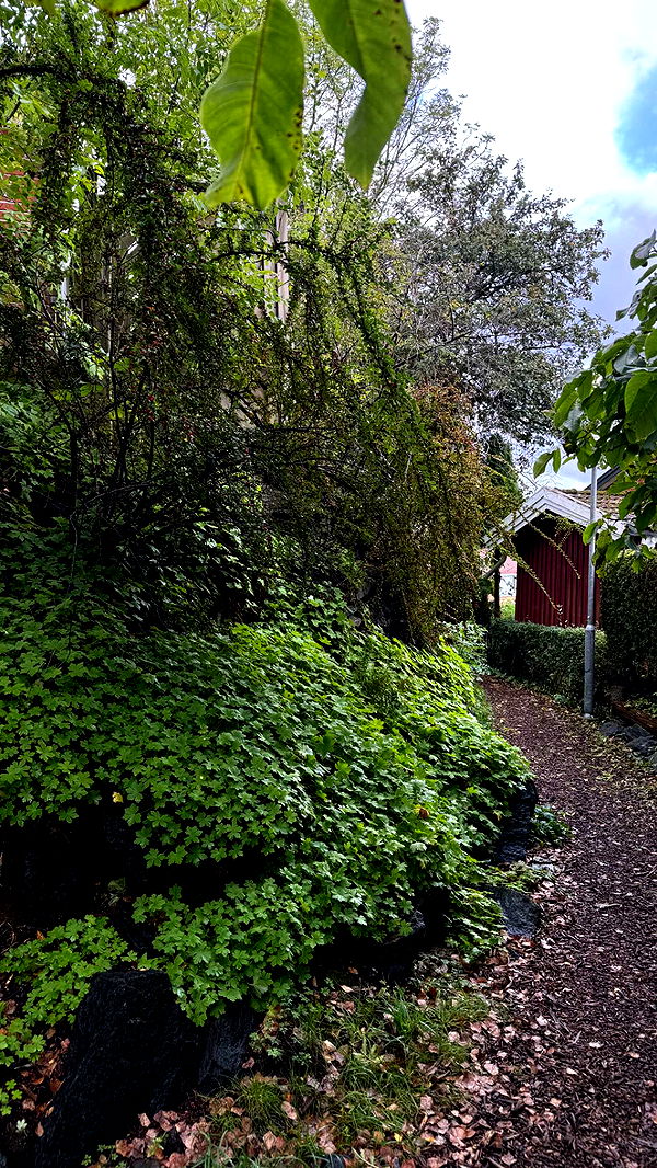 mathilda_bergs image ~ Altpins