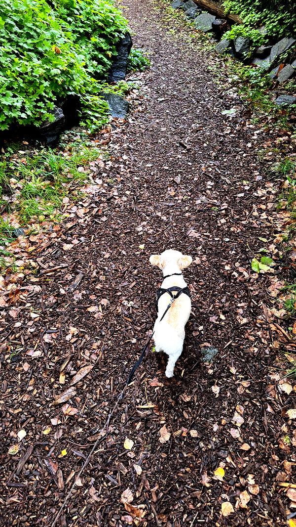 mathilda_bergs image ~ Altpins