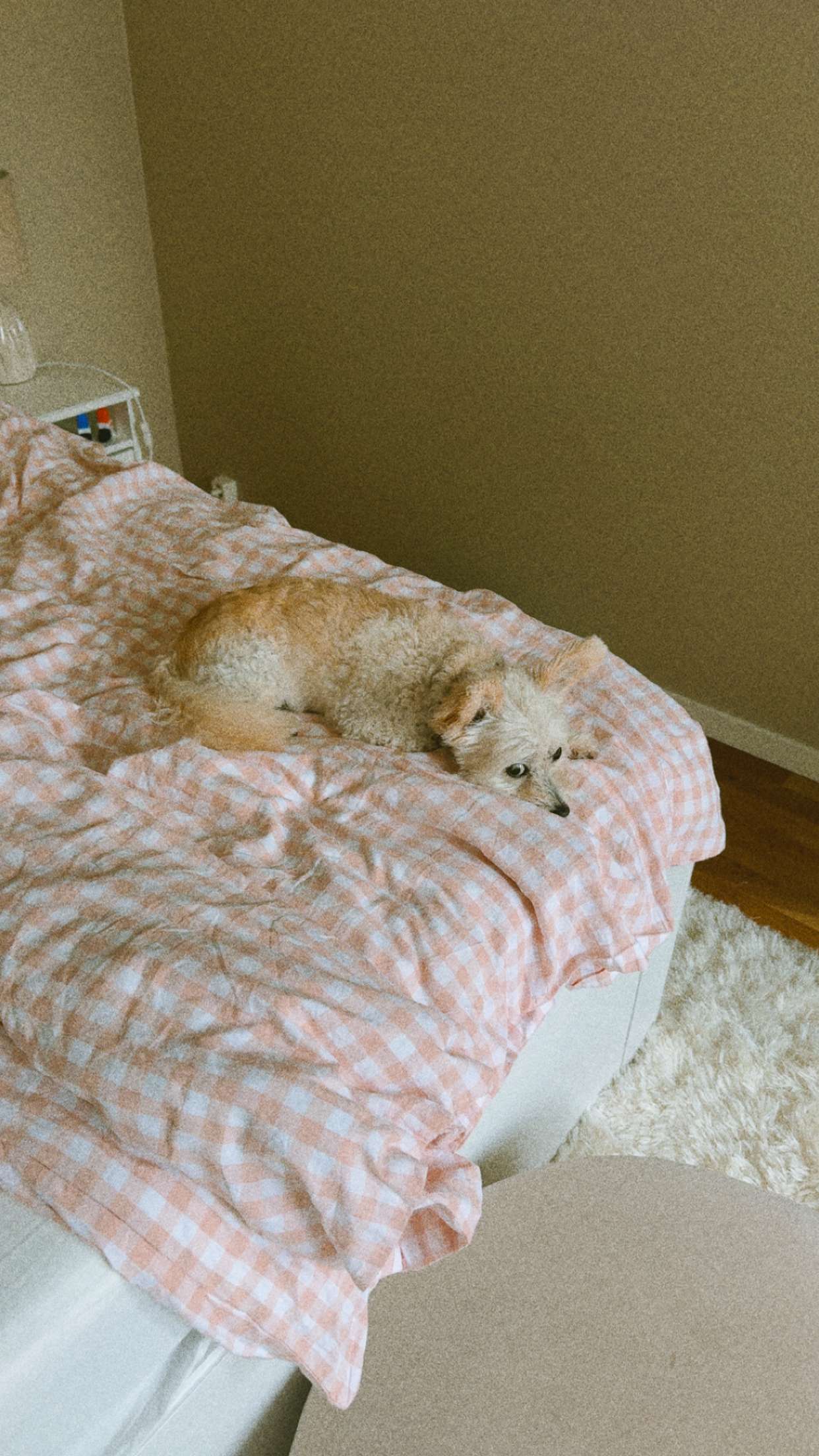 mathilda_bergs snapchat image archive image