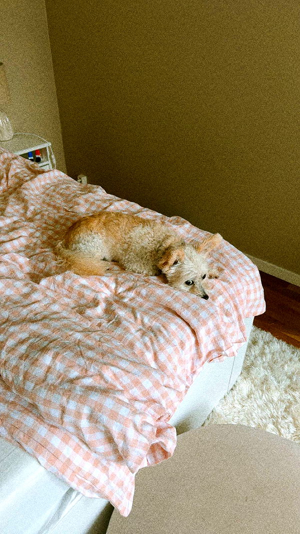 mathilda_bergs image ~ Altpins