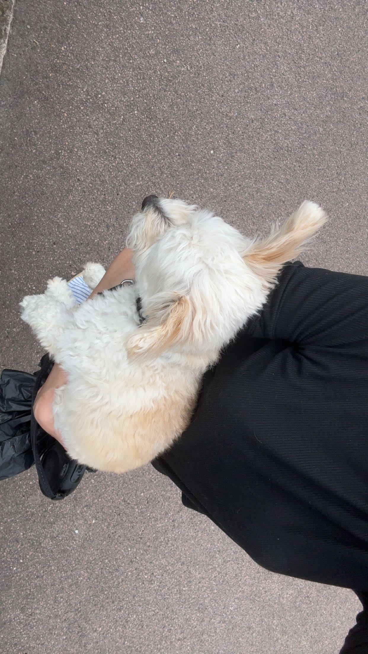 mathilda_bergs snapchat image archive image