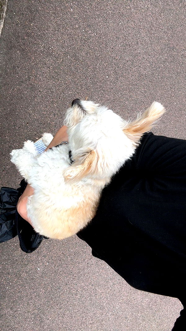 mathilda_bergs image ~ Altpins