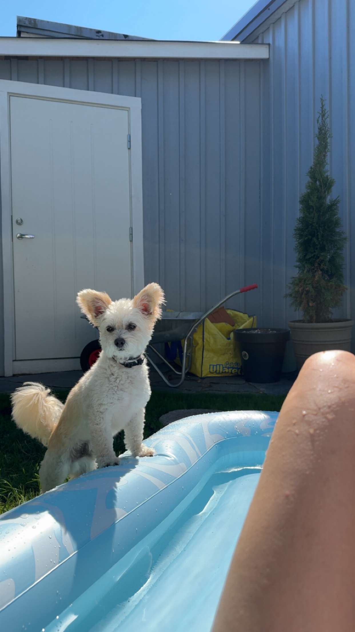 mathilda_bergs snapchat image archive image