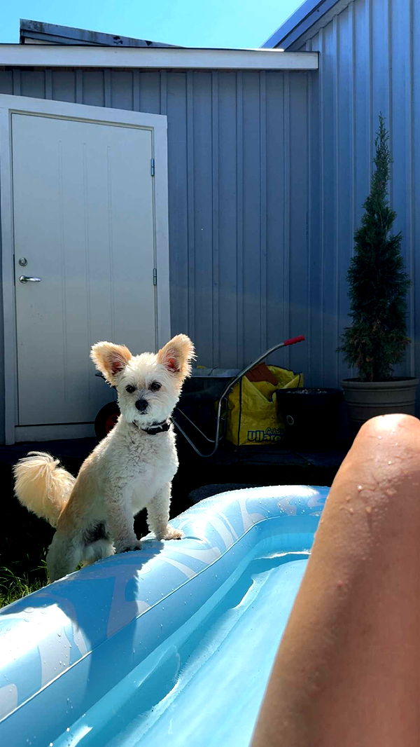 mathilda_bergs image ~ Altpins