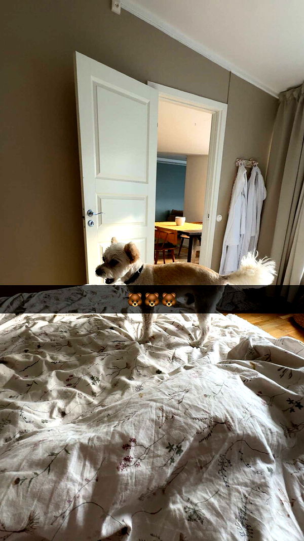 mathilda_bergs image ~ Altpins