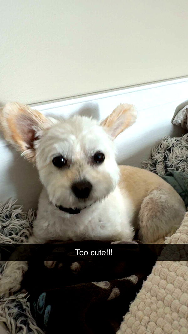 mathilda_bergs image ~ Altpins