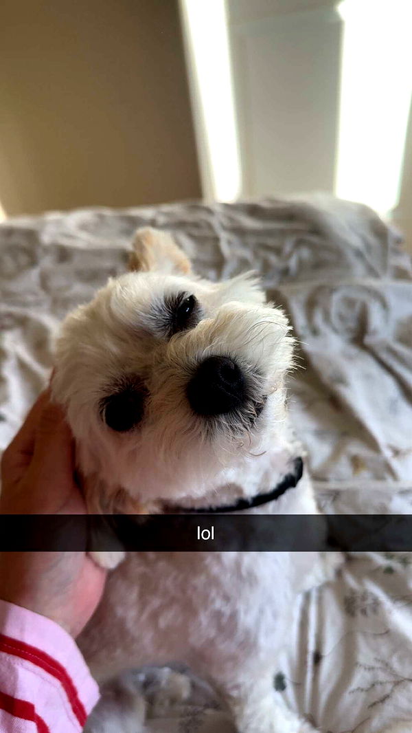 mathilda_bergs image ~ Altpins