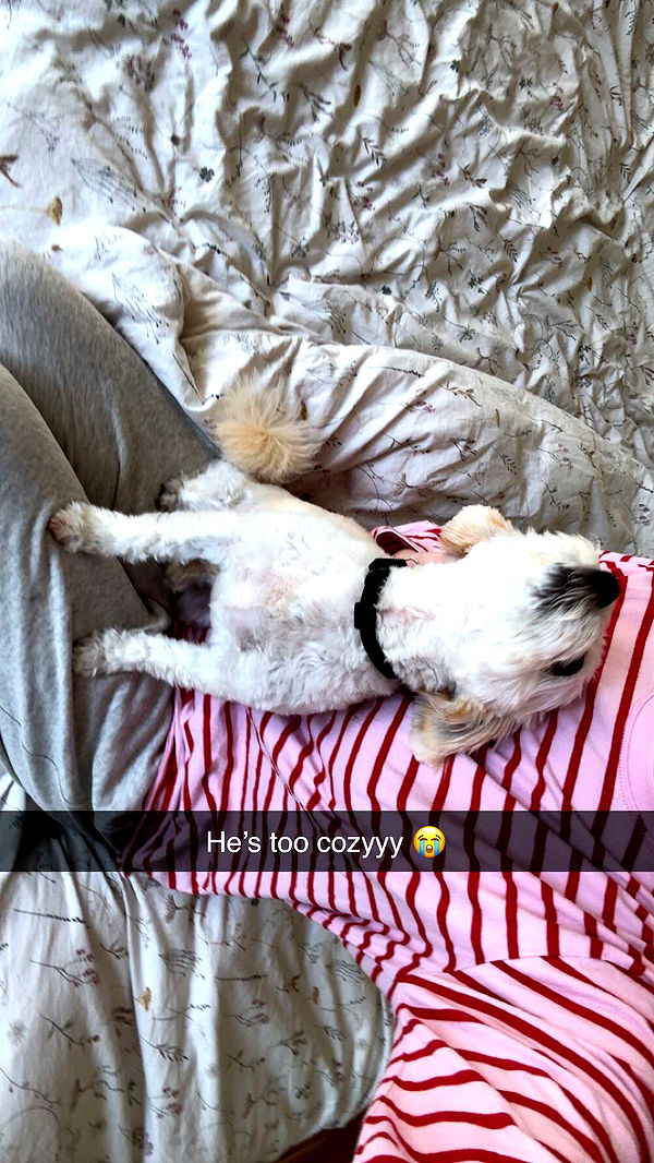 mathilda_bergs image ~ Altpins