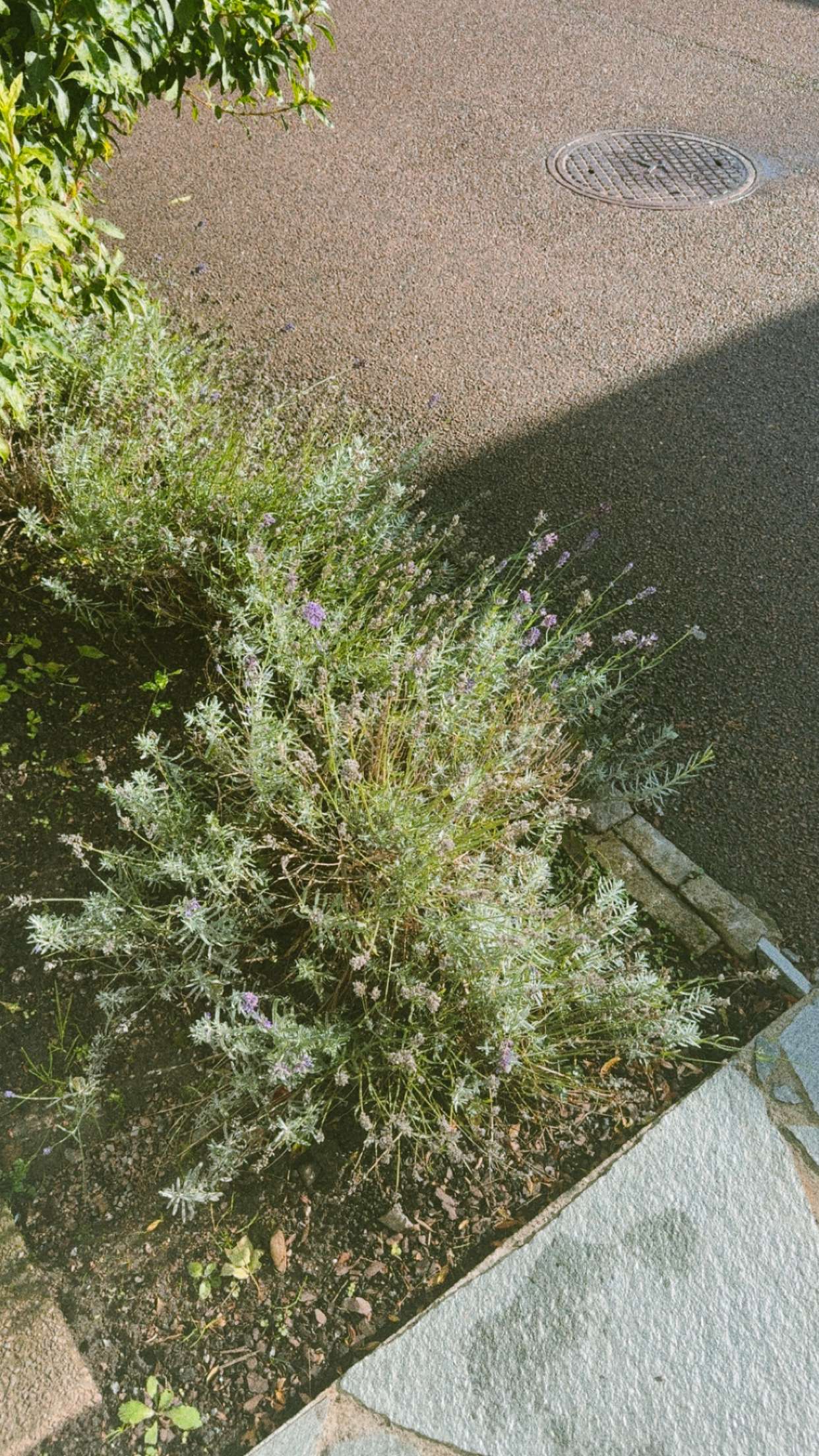 mathilda_bergs snapchat image archive image