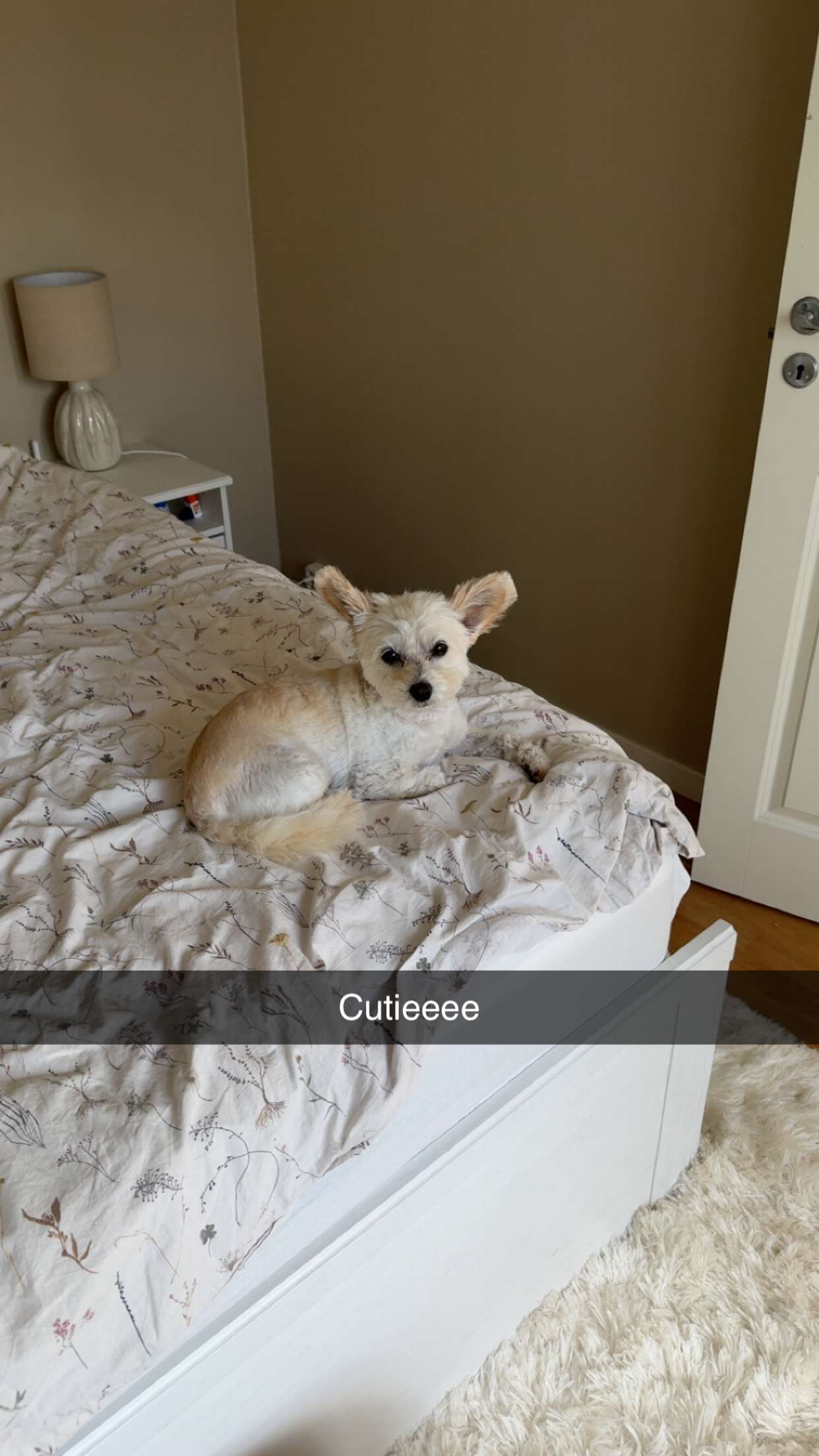 mathilda_bergs snapchat image archive image