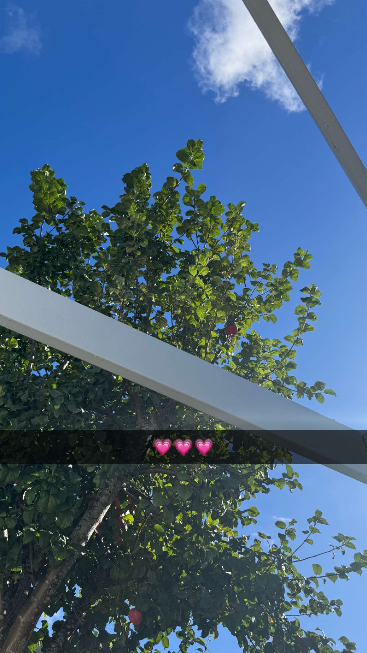 mathilda_bergs snapchat image archive image