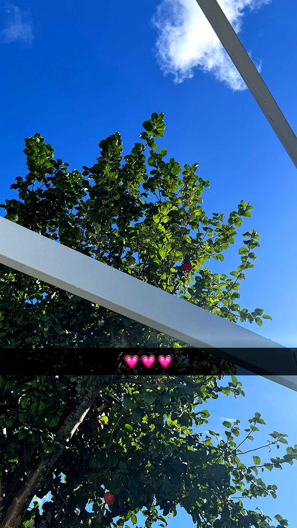 mathilda_bergs image ~ Altpins