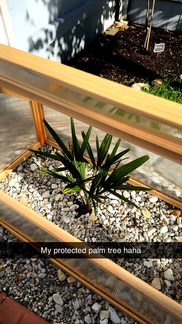 mathilda_bergs image ~ Altpins