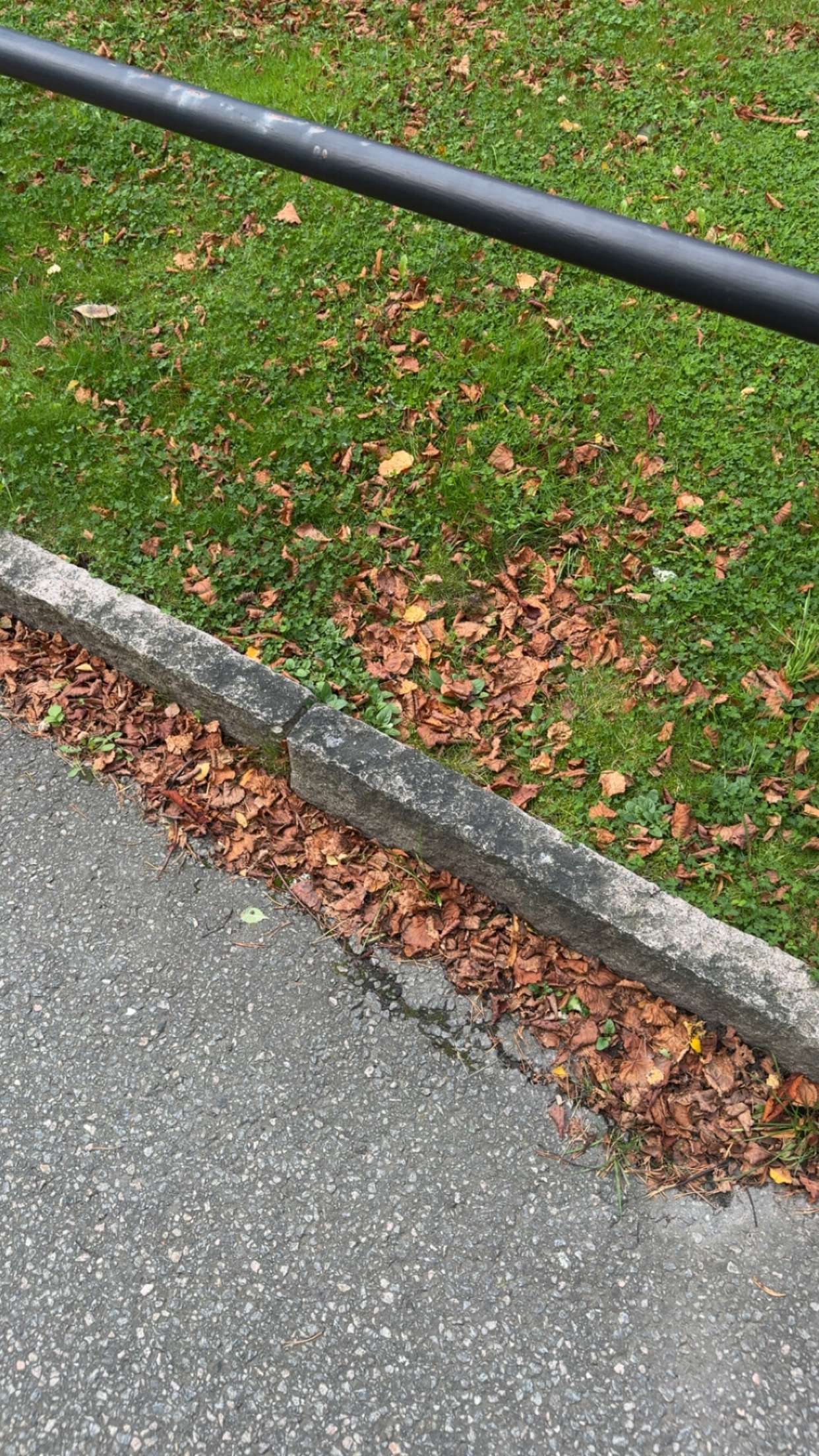 mathilda_bergs snapchat image archive image