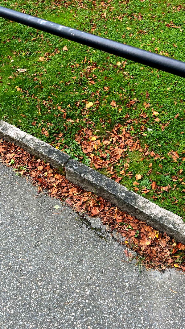 mathilda_bergs image ~ Altpins