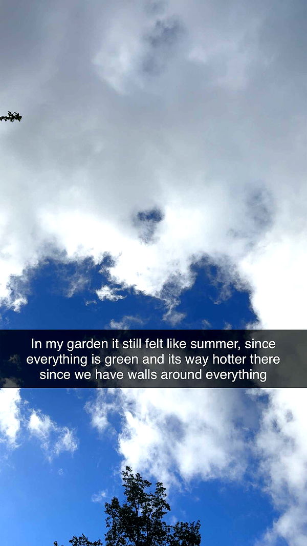 mathilda_bergs image ~ Altpins